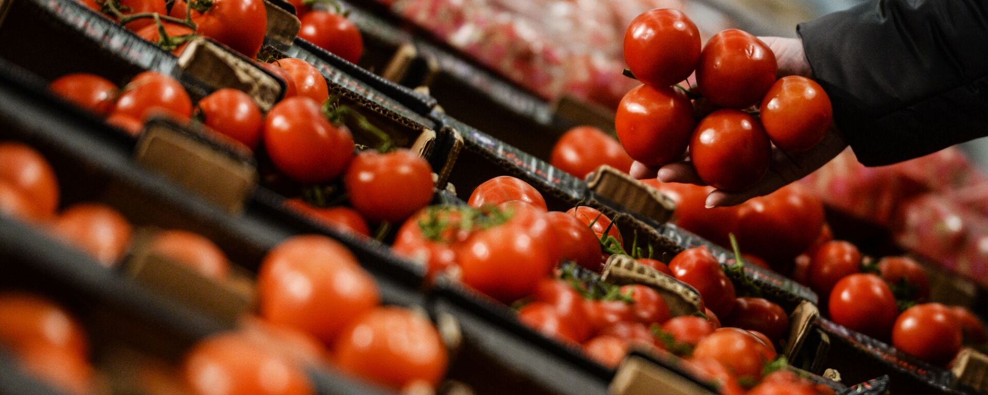 Посетитель выбирает помидоры в гипермаркете Лента в Великом Новгороде - اسپوتنیک ایران  , 1920, 06.04.2022