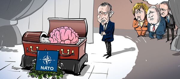 واکنش روسیه به سخنان ماکرون درباره مرگ مغزی ناتو - اسپوتنیک ایران  