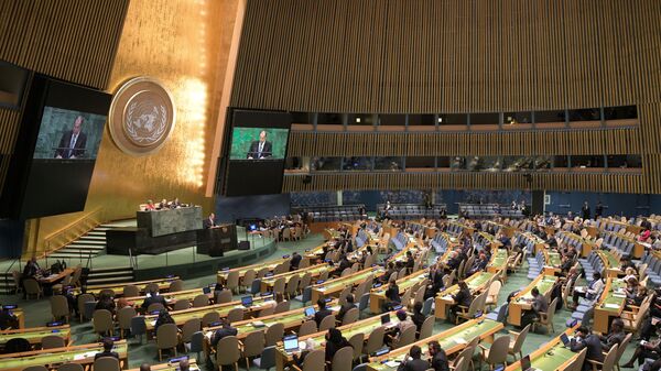 ‏حق رای ایران در سازمان ملل از تعلیق خارج می‌شود - اسپوتنیک ایران  