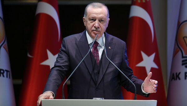 درخواست اردوغان از شهروندان ترکیه - اسپوتنیک ایران  