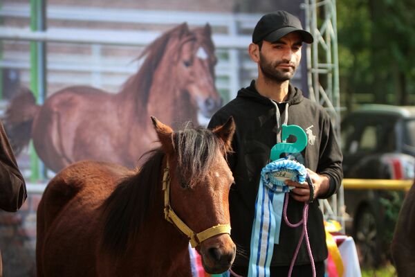مردی با اسب کاسپین در مسابقه ملی زیبایی اسبهای خزر در ایران - اسپوتنیک ایران  