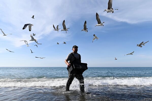 ماهیگیر ماهی‌های صید شده در دریای سیاه را تخلیه می‌کند - اسپوتنیک ایران  