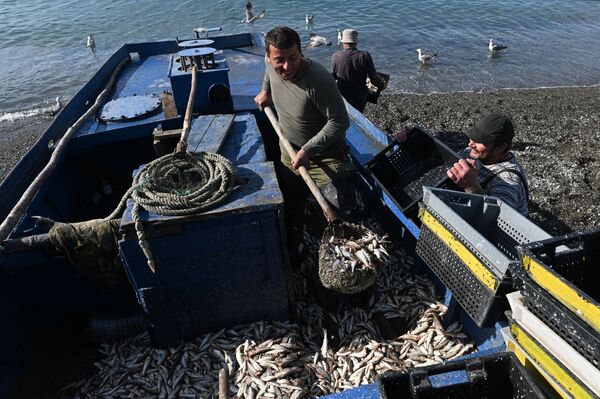 ماهیگیران صید خود در دریای سیاه را بارگیری می‌کنند - اسپوتنیک ایران  