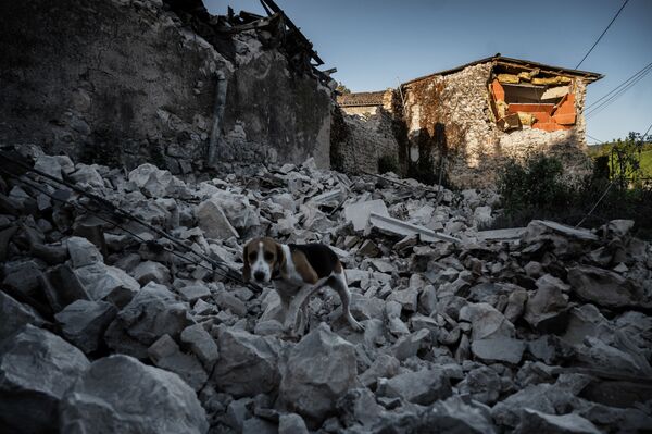 ویرانه‌های زلزله در جنوب شرق فرانسه - اسپوتنیک ایران  