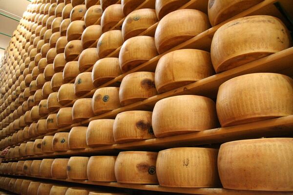 پخت پنیر در شهر ایتالیایی پارما - اسپوتنیک ایران  