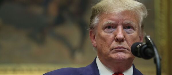 درخواست دموکرات ها از ترامپ: دلایل منطقی ترور سردار سلیمانی را بیان کنید  - اسپوتنیک ایران  