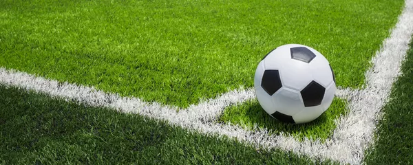 بیانیه فدراسیون فوتبال ایران درباره عدم میزبانی در لیگ قهرمانان آسیا بیانیه فدراسیون فوتبال ایران درباره عدم میزبانی در لیگ قهرمانان آسیا - اسپوتنیک ایران