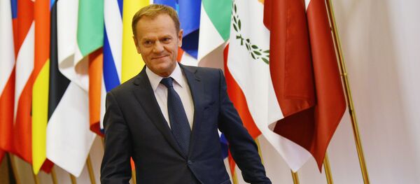 دونالد تاسک رئیس شورای اروپا - اسپوتنیک ایران  