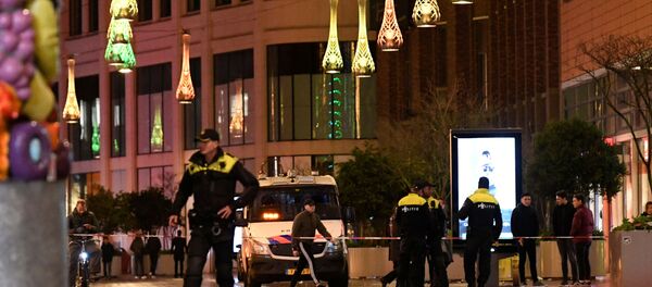 پلیس هلند فرد مضنون به حمله در لاهه را بازداشت کرد - اسپوتنیک ایران  