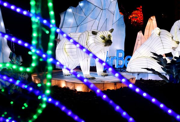 فستیوال فانوس های جادویی چین در مسکو - اسپوتنیک ایران  