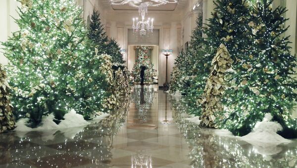 تزیینات جشن کریسمس در کاخ سفید آمریکا - اسپوتنیک ایران  