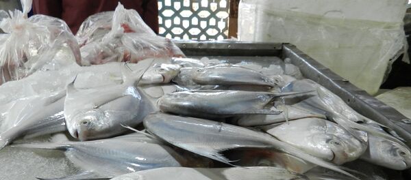 رژیم غذایی ایده آل: امروز - گوشت و فردا – ماهی  - اسپوتنیک ایران  