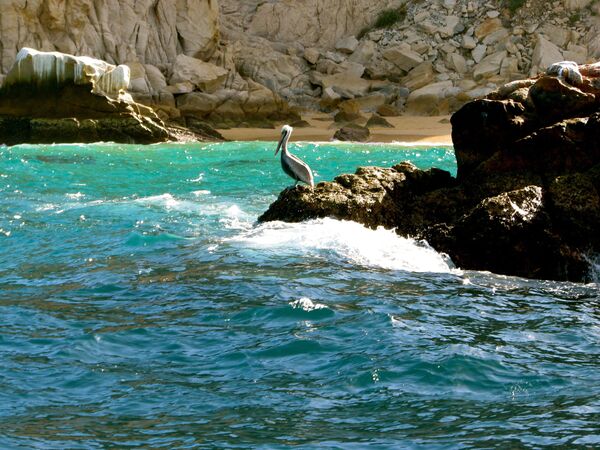 ده بهترین مکان برای سفر در سال 2020 میلادی
دریای کرتز مکزیک - اسپوتنیک ایران  
