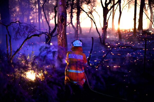 آتش سوزی جنگلی در استرالیا - اسپوتنیک ایران  