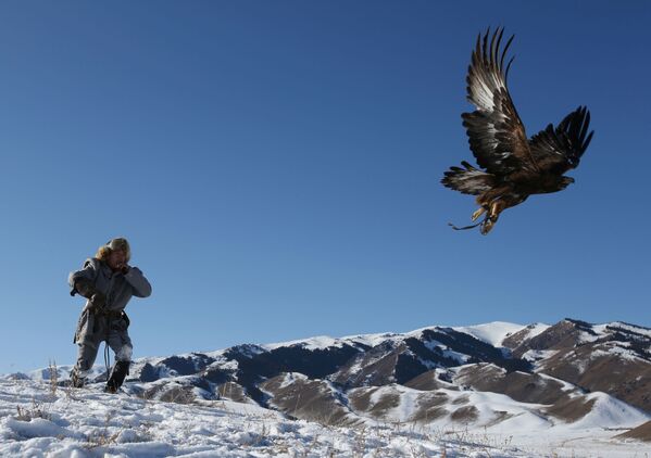 شکار با عقاب در قزاقستان  - اسپوتنیک ایران  