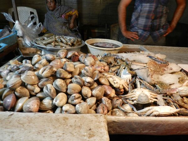 بازار ماهی در بندرعباس ایران  - اسپوتنیک ایران  