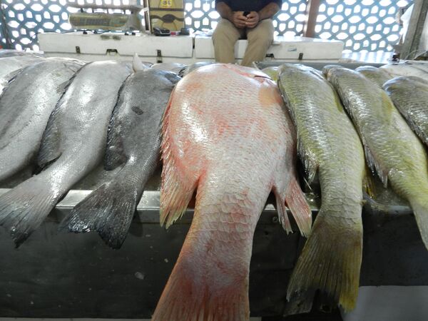 بازار ماهی در بندرعباس ایران  - اسپوتنیک ایران  