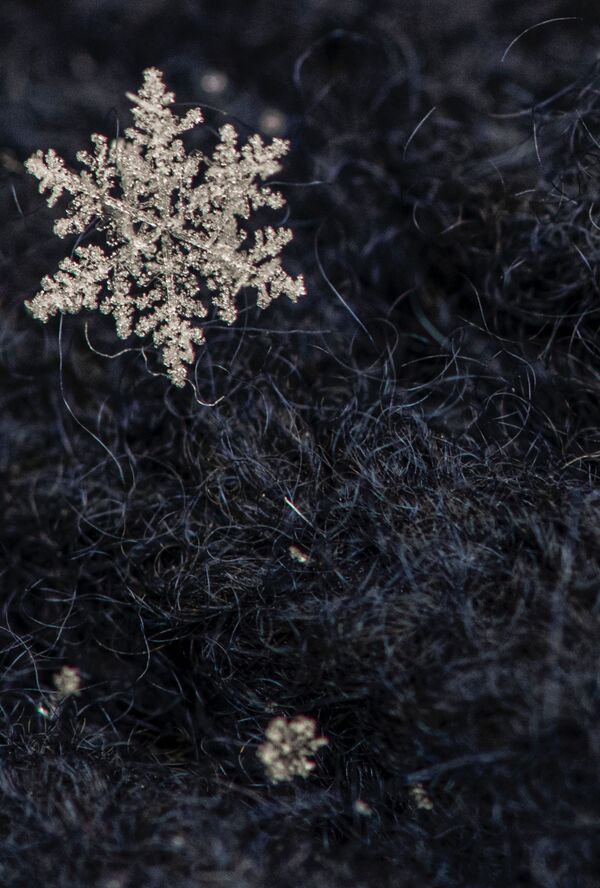 یک دانه برف تنها در زیر میکروسکوپ - اسپوتنیک ایران  