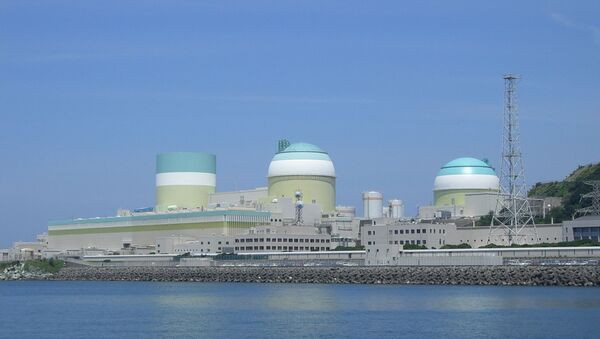 راکتورهای هسته ای ژاپن تعطیل می شوند - اسپوتنیک ایران  