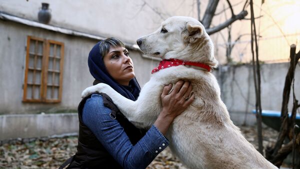 سگ‌ها و صاحبان ایرانی آن‌ها - اسپوتنیک ایران  