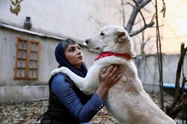 سگ‌ها و صاحبان ایرانی آن‌ها - اسپوتنیک ایران  
