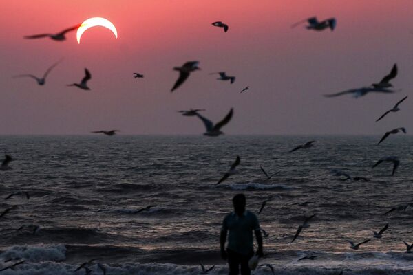مردی در حال مشاهده خورشید گرفتگی در کویت - اسپوتنیک ایران  
