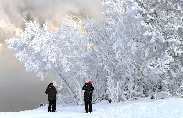 دنیای برفی با دمای زیر 30 درجه سانتیگراد در سواحل رود «ینسی» در کراسنویارسک روسیه - اسپوتنیک ایران  