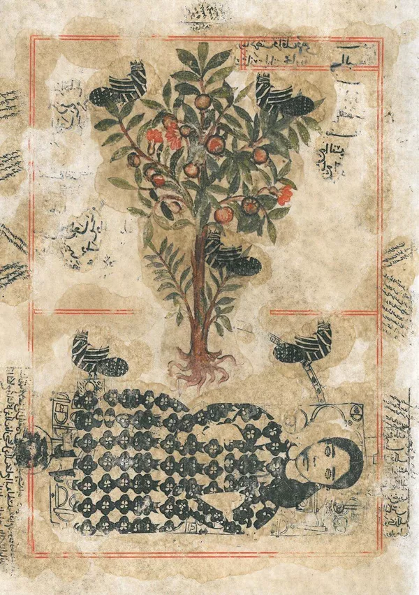 خلق آثار هنری کم نظیر توسط تصویرگر و چاپگر ورزشکار + تصاویر خلق آثار هنری کم نظیر توسط تصویرگر و چاپگر ورزشکار + تصاویر - اسپوتنیک ایران