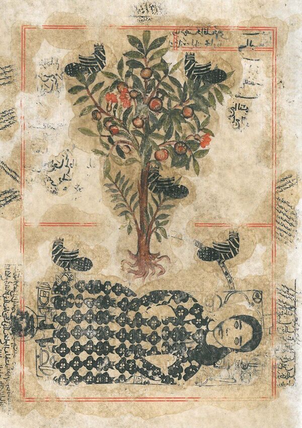 خلق آثار هنری کم نظیر توسط تصویرگر و چاپگر ورزشکار + تصاویر - اسپوتنیک ایران  