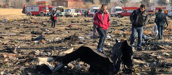 اوکراین آمادگی تائید علت سقوط هواپیما در ایران را ندارد - اسپوتنیک ایران  