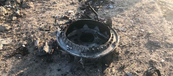 تنها مسافری که از پرواز تهران - اوکراین جا ماند - اسپوتنیک ایران  