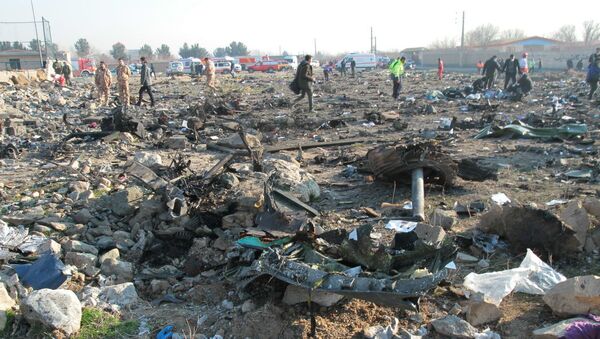ایران 100 نفر از کشته شدگان حادثه سقوط هواپیمای اوکراینی را شناسایی کرد - اسپوتنیک ایران  