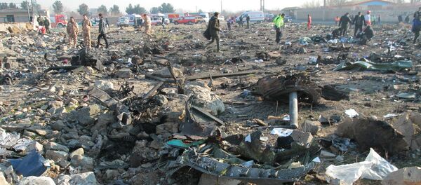 هواپیما در آسمان دچار حریق شد - اسپوتنیک ایران  