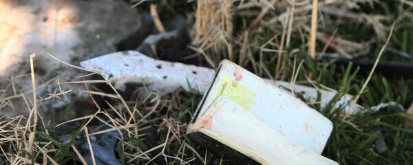 جعبه سیاه هواپیمای اوکراینی ۳۰ تیرماه در فرانسه خوانده می شود - اسپوتنیک ایران  