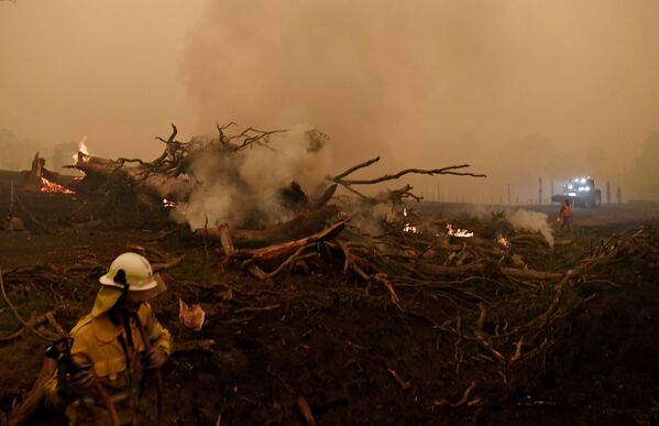 تلاش آتش نشانان برای خاموش کردن آتش در جنگل های استرالیا - اسپوتنیک ایران  