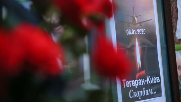 امکان استفاده سیاسی از تراژدی هواپیمای اوکراینی - اسپوتنیک ایران  