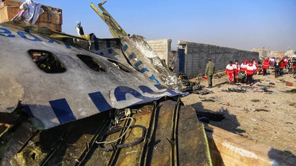 بیانیه هیات اعزامی ایران به پاریس درباره سانحه هواپیمای اوکراینی - اسپوتنیک ایران  