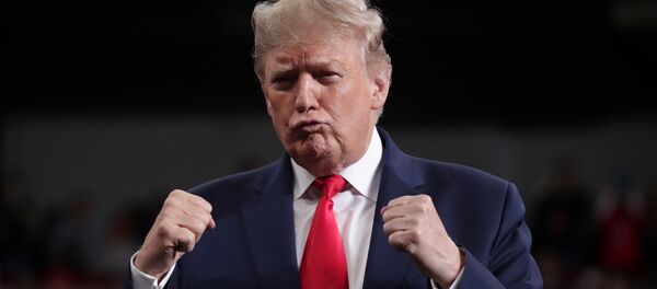 رسانه ها دروغ های ترامپ را شمردند رسانه ها دروغ های ترامپ را شمردند - اسپوتنیک ایران