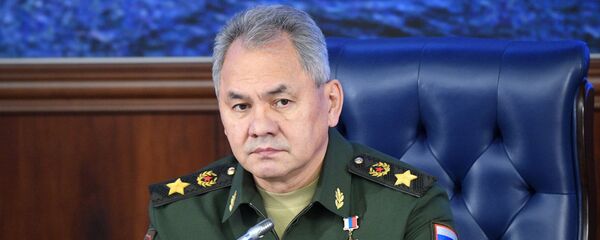 حاتمی از شویگو برای سفر به ایران دعوت کرد حاتمی از شویگو برای سفر به ایران دعوت کرد - اسپوتنیک ایران