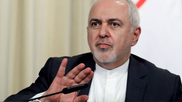 سخنان جنجالی ظریف: بعضی دوستان به آمریکا گرا می‌دهند + ویدئو - اسپوتنیک ایران  