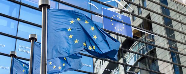 پارلمان اروپا خواستار لغو تحریم های ایران شد پارلمان اروپا خواستار لغو تحریم های ایران شد - اسپوتنیک ایران