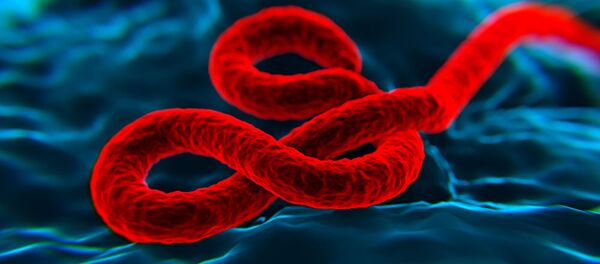 هشدار بهداشت جهانی در مورد شیوع یک بیماری کشنده در آفریقا هشدار بهداشت جهانی در مورد شیوع یک بیماری کشنده در آفریقا - اسپوتنیک ایران