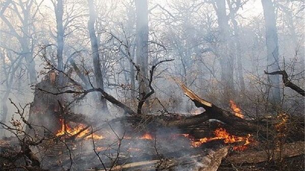آتش سوزی در جنگل های استان گلستان در ایران  - اسپوتنیک ایران  