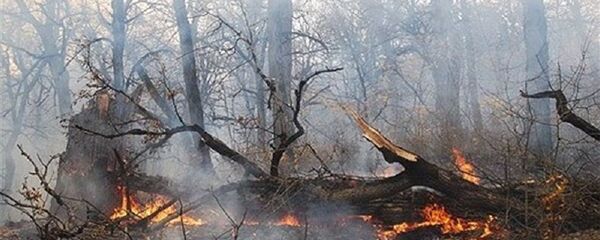 آتش سوزی در جنگل های ارسباران - اسپوتنیک ایران  