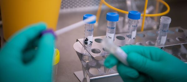 تست روسی-ژاپنی کرونا ویروس در 30 دقیقه نتیجه را اعلام می کند تست روسی-ژاپنی کرونا ویروس در 30 دقیقه نتیجه را اعلام می کند - اسپوتنیک ایران