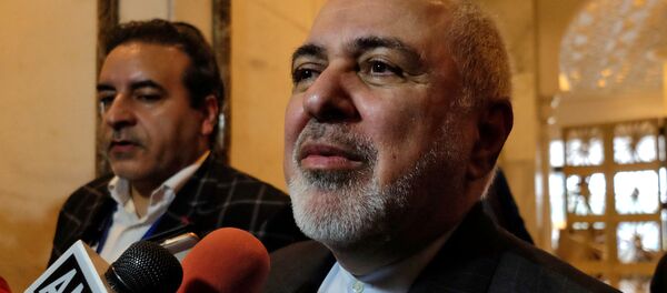 محمدجواد ظریف وزیر امور خارجه جمهوری اسلامی ایران - اسپوتنیک ایران  