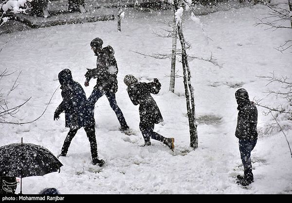بارش شدید برف در گیلان - ایران - اسپوتنیک ایران  