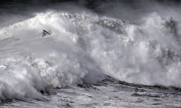 موج‌سواری بر امواج عظیم در پرتغال 
موج‌سوار هاوایی
کای لنی  - اسپوتنیک ایران  