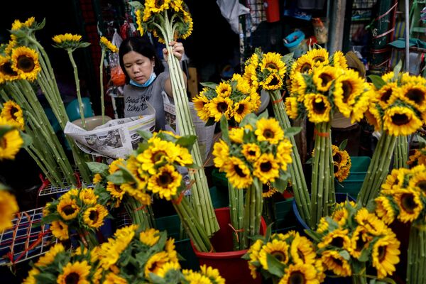 فروشنده گل با ماسک در فلیپین - اسپوتنیک ایران  
