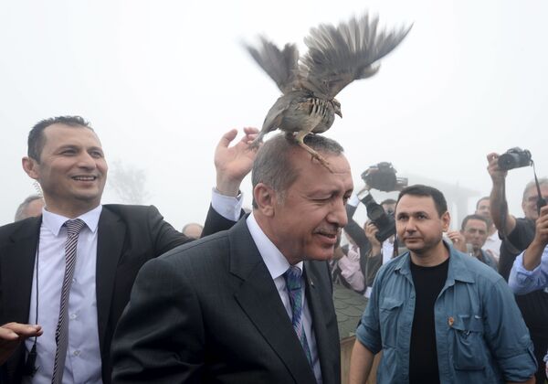 باقرقره روی سر  طیب اردوغان  رئیس جمهور ترکیه - اسپوتنیک ایران  